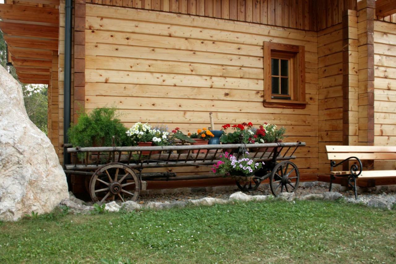 Apartment Pod Skalco Jesenice Exteriör bild