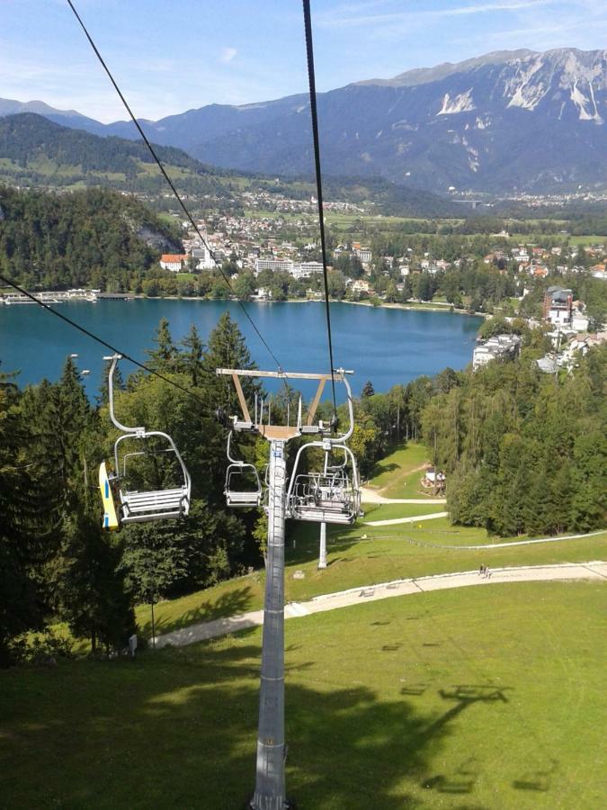 Apartment Pod Skalco Jesenice Exteriör bild